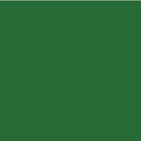 RAL 6002 VERDE OSCURO