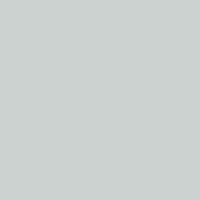 RAL 7035 GRIS LUMINOSO