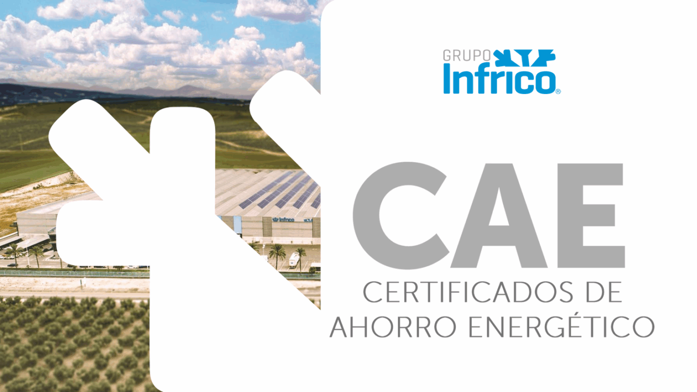 presentacion-caes-grupo-infrico